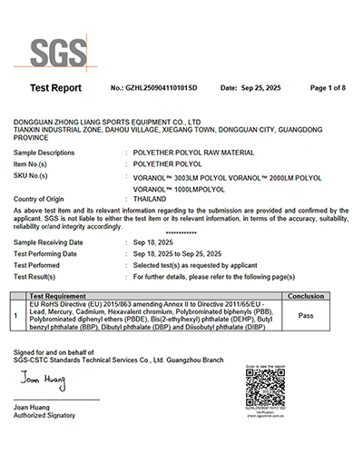 Отчет об испытаниях SGS